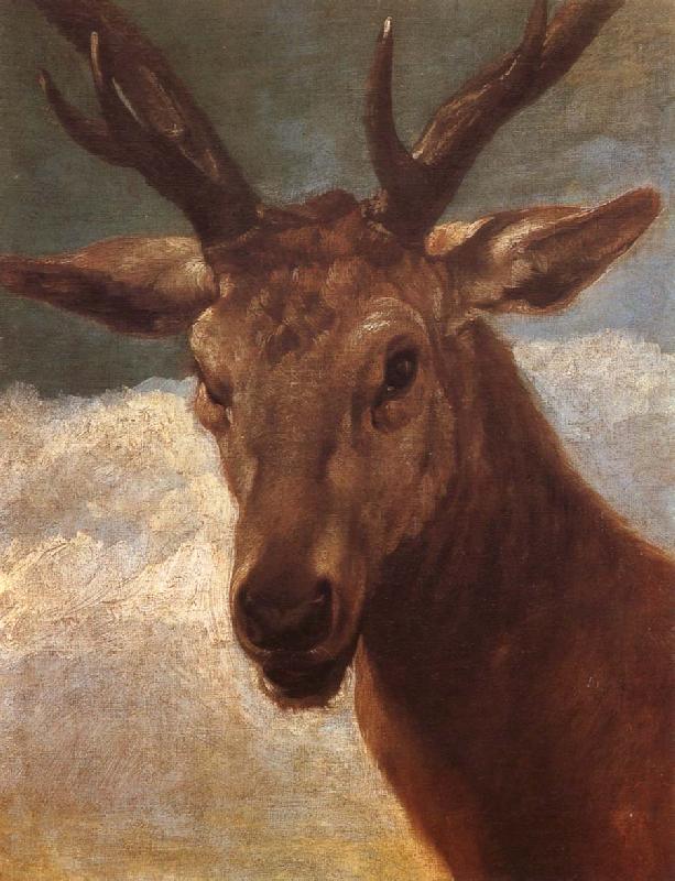 Deer, VELAZQUEZ, Diego Rodriguez de Silva y